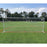 PEVO Flat Faced Training Goal - 8x24