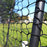 BCI 35' Freestanding Trapezoid Batting Cage (Complete) PDB-TRAP-35 COMP