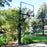 Douglas D-Pro 645 MAX Basketball System 69660