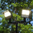 Douglas Light System LED Sports Court Lighting 68517C